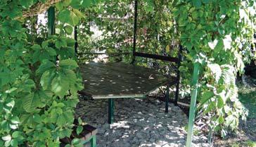 stánky se suvenýry, na promenádě vystoupení dalmatských pěveckých souborů, hudebních skupin a zpěváků, restaurace s živou hudbou, posezení na promenádě, event. procházky do blízké Brely, atd.
