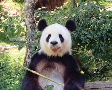 den: po snídani návštěva Zoo Vídeň a volný čas na procházku parkem zámku Schönbrunn, odpoledne odjezd do ČR, předpokládaný návrat do 23.00 hod. DVD, bar), 1 noc se snídaní v hotelu (2lůžk.