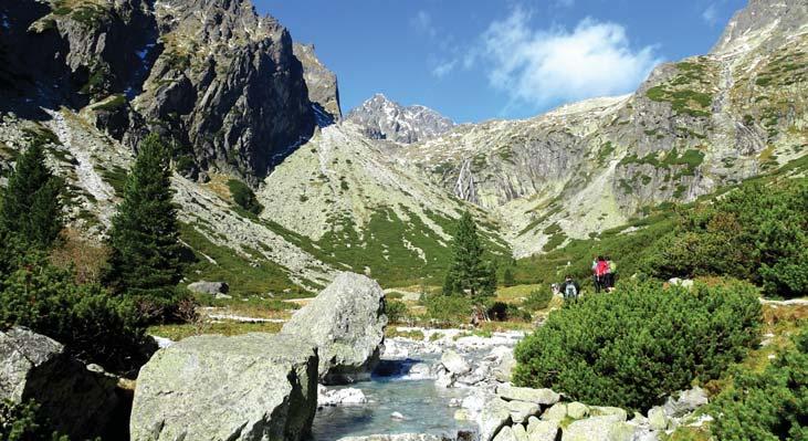 den: vyjedeme lanovkou na Chopok (2023 m), kde se můžete kochat nádhernými panoramaty. Kdo bude chtít, může pokračovat po nejnavštěvovanější trase na nejvyšší vrchol Nízkých Tater Ďumbier (2043 m).