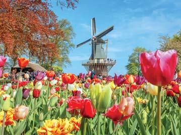 Odpoledne ještě zavítáte do historického Delftu. Odjezd do hotelu, nocleh. 3. den: ráno přejezd do skanzenu Zaanse Schans, kde si prohlédnete holandské větrné mlýny a typická stavení ze 17. a 18.