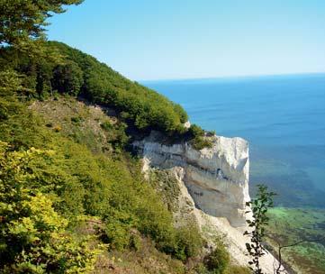 Tento den vás čeká turistika v jedné z lahůdek přírodních krás Finska Národním parku Ukko-Koli, s možností vyhlídky (347 m) na panorama typické finské přírody.