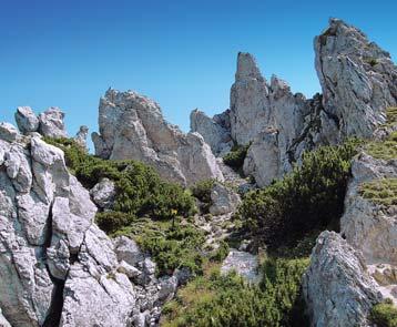 Z Ďumbieru se budeme kochat nejkrásnějšími výhledy na velkou část Nízkých Tater, v dáli pak uvidíte Západní a Vysoké Tatry a také Malou Fatru a Velký Choč.