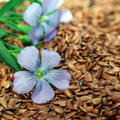 Vitamín E přispívá k ochraně buněk před oxidačním stresem.