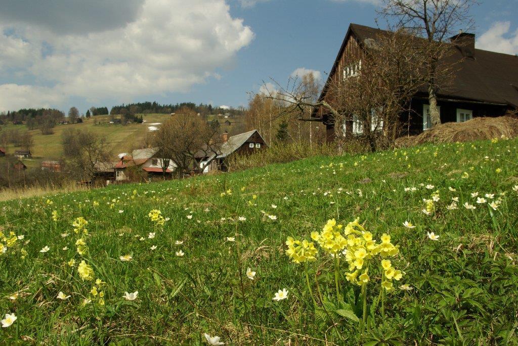 The most valuable meadows are usually