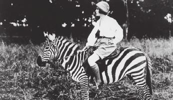 Jako každý rok se návštěvníci mohou těšit na bohatou tombolu a fotokoutek s rekvizitami. Předprodej vstupenek začne už 1. prosince v TIC Mikulov na Náměstí.