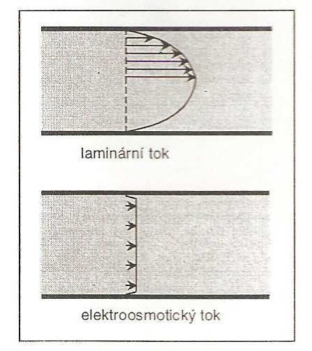 Obrázek 9. Rychlostní profil laminárního a elektroosmotického toku (Převzato z [8], strana 36