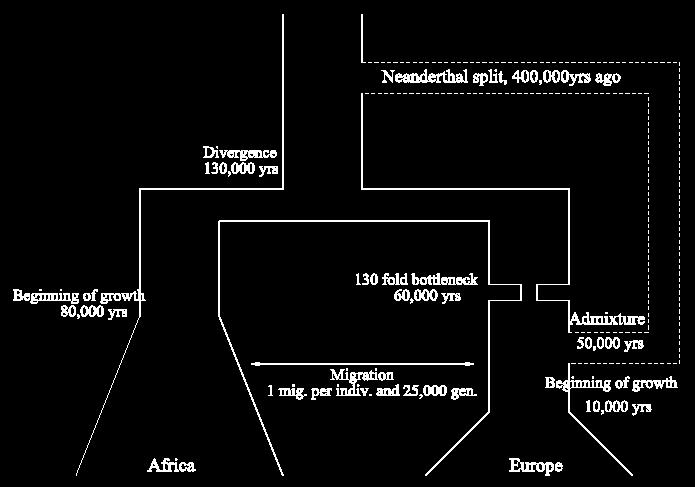 Vincent Plagnol a Jeffrey Wall (2006, PLoS Genetics) využili sekvenční data z The Environmental Genome Project a aplikovali nové statistické metody jejich výsledky naznačují na možnou příměs (min.