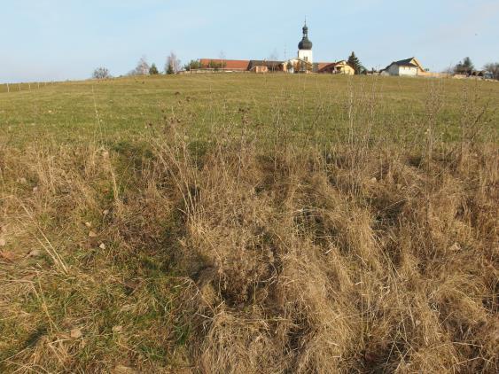 nabídku i možnost rozmnožování. Při terénním průzkumu nebyl zjištěn žádný zvláště chráněný druh.