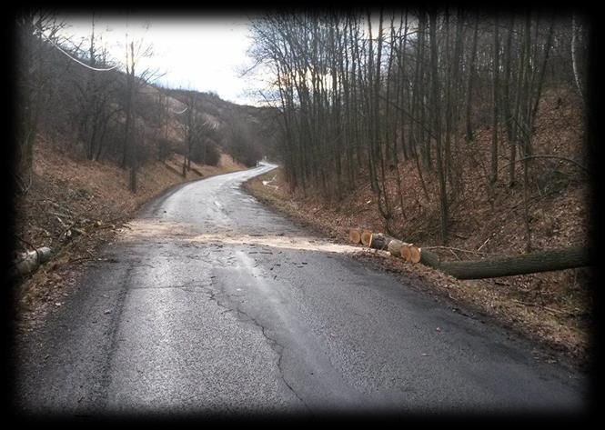 .2.2017 vyjela jednotka SDH mezi obce Nepomyšl a Dvérce na vyvrácený strom větrem přes komunikaci a zároveň zavěšen do telefonního kabelu.