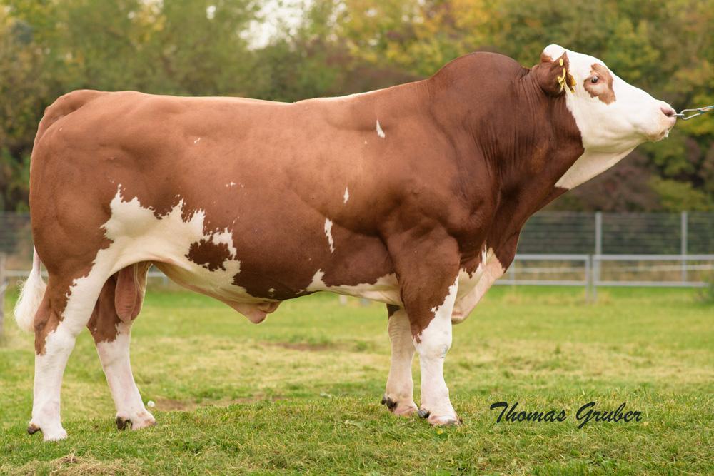 EG-041 Erbhof Eilmon x