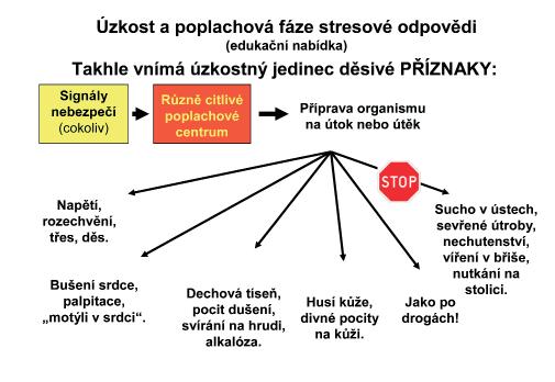pojetí; - model nevystačí s úrovní lineární kauzality, je nutné uvažovat spíše o kauzalitě cirkulární se zpětnovazebnými mechanismy, kdy následek není konečným výstupem, ale může být příčinou dalšího
