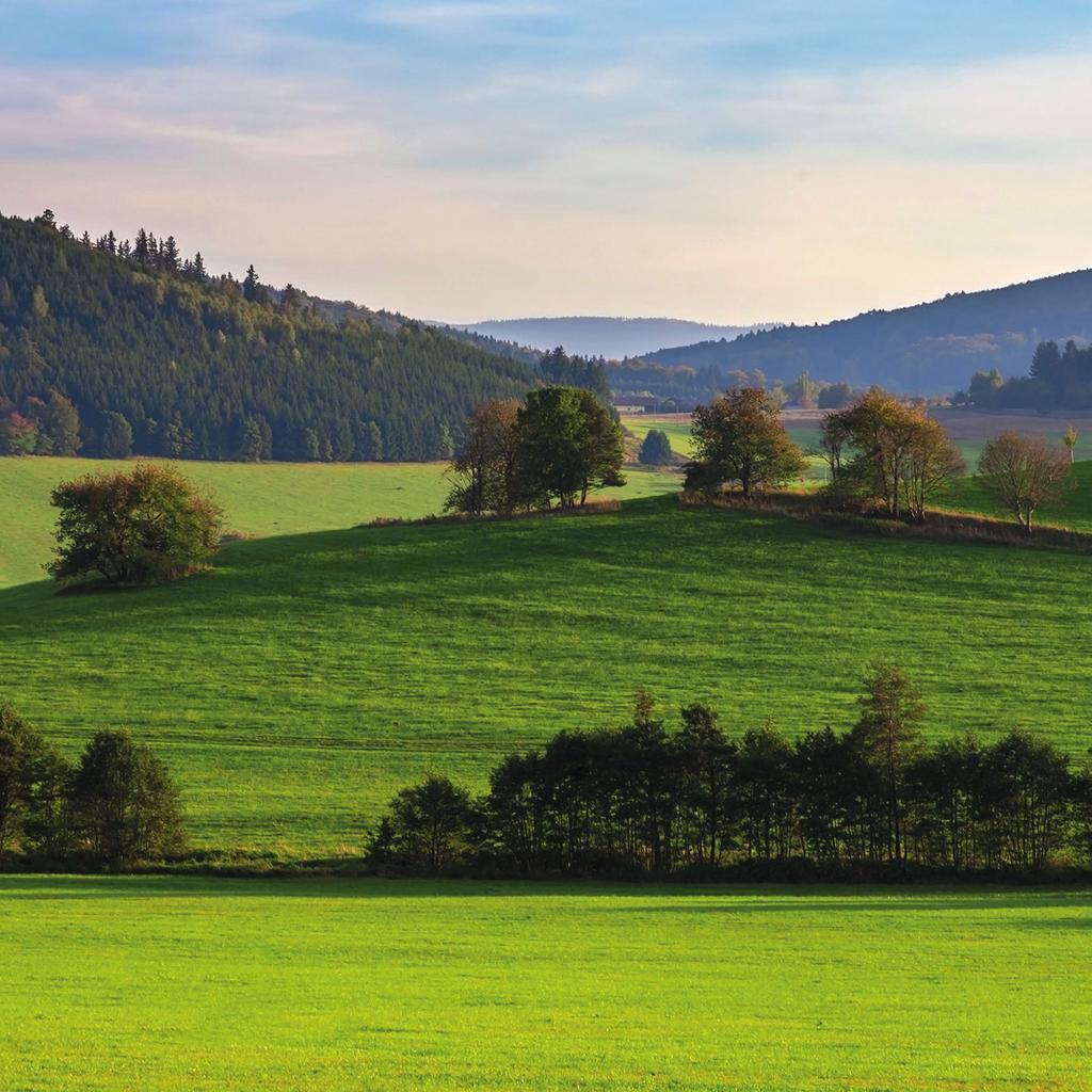 BEZPEČNOST A OCHRANA ZDRAVÍ PŘI PRÁCI, POŽÁRNÍ OCHRANA SNIŽOVÁNÍ ENVIRONMENTÁLNÍCH RIZIK Lovochemie má vybudován systém prevence průmyslo vých havárií.