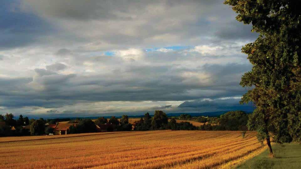 24-25) Červenec 2018 - Panorama č. 26/2018 Honsnejmanová D.: Ruský legionář Jaromír Baše Honsnejmanová D.