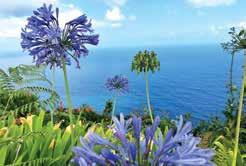 druhy květin vás nenechají na pochybách, že jste v subtropech. Již desátým rokem vás zveme na příjemný portugalský ostrov Madeira.