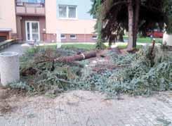 Ve dvoučlenném složení PROSTĚJOV Obyvatelé ze Sídliště E. Beneše byli nedávno vzteky celí bez sebe.