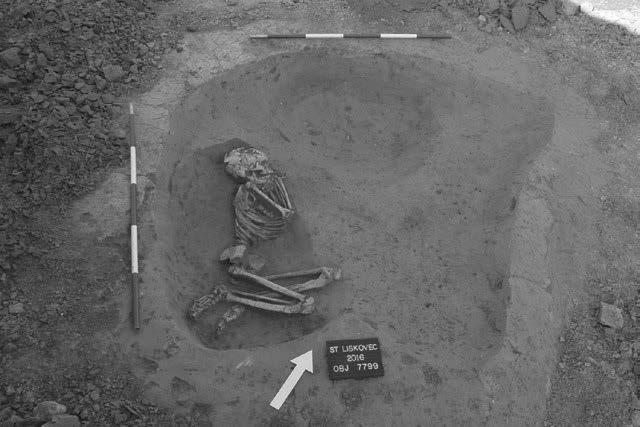 Zprávy o výzkumech za rok 2016: Neolit Líšeň (Líšeň Cadastre, Brno-město District), Dlouhý kus.