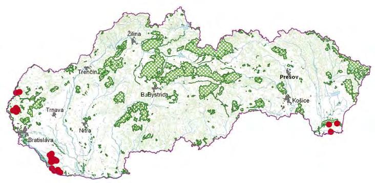 Tento unikátny živočích sa volá blatniak tmavý. Je to malá, asi 10 cm rybka.