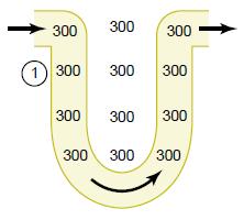 gradient až 200 mosm/l 2) Neprostupnost vzestupného raménka Henleovy kličky pro H 2 O 3)