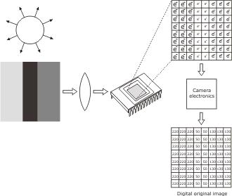 Color vs monochrome http://s1.www.