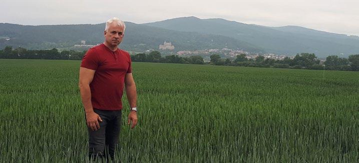 Aj napriek neskoršej sejbe obe odrody odnožili piatimi odnožami bez podpory morforegulátora.