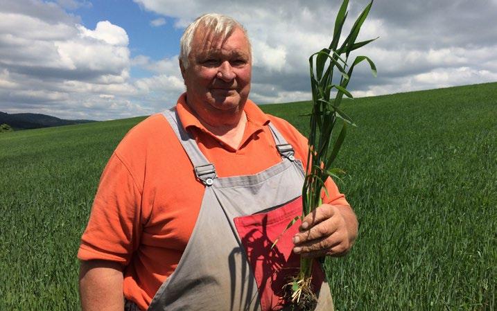 Skúsenosti zákazníkov s odrodou EMILIO Skúsenosti zákazníkov s odrodami EMILIO a ENERGO ING. EMIL REMŠÍK hlavný agronóm PD Belá - Dulice JÚLIUS TOKÁR konateľ Poľno Čergov, s.r.o. Odrodu pšenice ozimnej EMILIO pestujem prvý rok na výmere 30 ha.