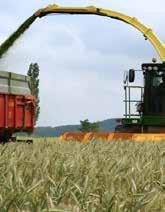 náchylnost k polehání 2 3 4 5 KWS PROPOWER CONDUCT (P) SU Phönix SU Agroferm KWS PROGAS populační odrůdy 6 SU Drive 7 8 Generator (P) klasické hybridy 9 4 5 6 7 8 9 výnos suché hmoty (ošetřená