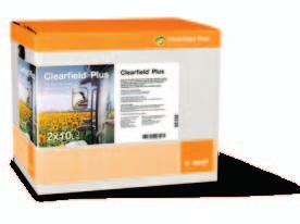 Slunečnice Clearfield Plus Hybridy slunečnice označené Clearfield Plus (CLP, CL+) Nový herbicid Pulsar Plus Herbicidní řešení BASF Clearfield Plus technologie Pěstitelé slunečnice se často potýkají s