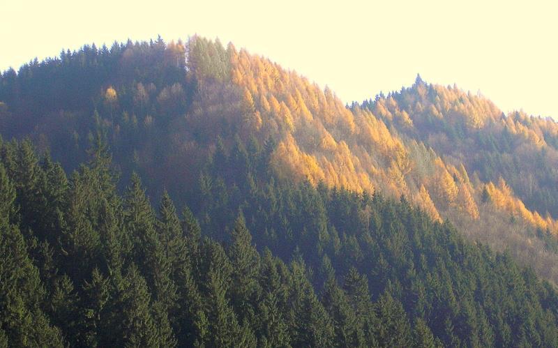 Čas krásy Jeseň, to je veľká dáma, rukou nám vždy zamáva. Šaty robené z lístia, uplietla ich víla z čarovného prútia. Slniečko sa doširoka usmieva, a vetrík si veselo fúka.