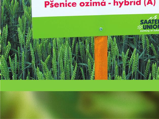 n. m. Průměrné srážky: 650 mm Půdy: převážně hnědozemě a hnědé Struktura RV: obiloviny 52 %, řepka 20 %, hrách 8 %, mák 8 %, zbytek výměry tvoří chmelnice, hořčice a vojtěška Tršická zemědělská a.s. je v 100% vlastnictví firmy MJM Litovel a hospodaří na průměrných půdách Olomoucka.