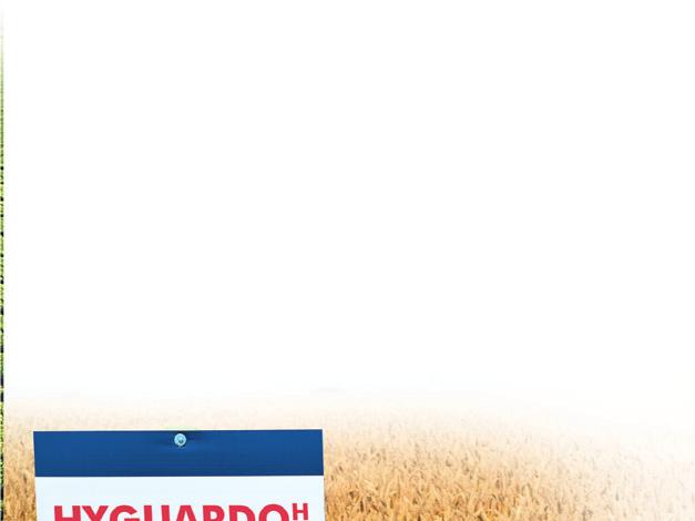 HYGUARDO H (A/B) První hybrid pro nízkonákladové technologie.