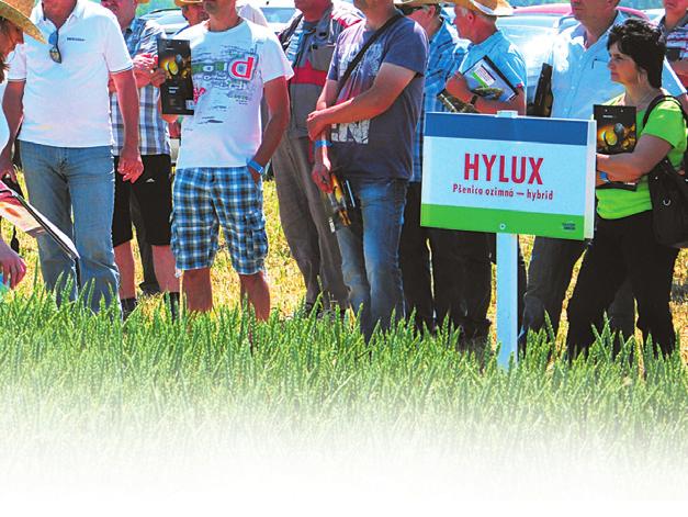 Na polních dnech na Slovensku je vždy o přehlídku hybridních pšenic velký zájem. Ing.