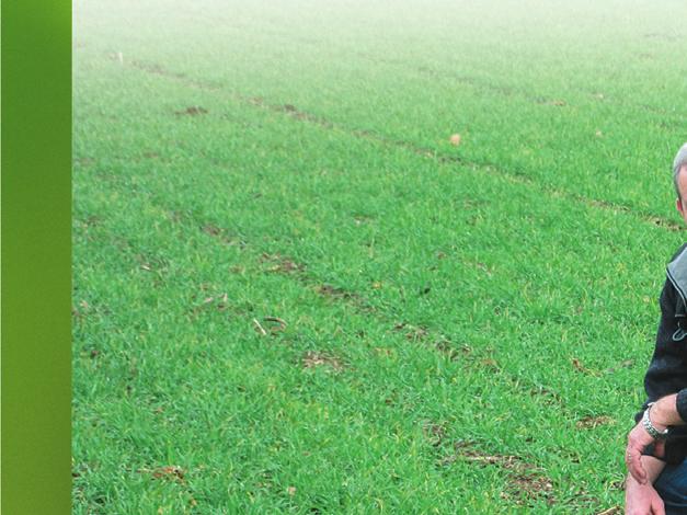 HYBRIDNÍ PŠENICE "SEDM LET ZKUŠENOSTÍ: ZAČALO TO HYBNOSEM..." Ing. Vladimír Kohout, Heřmanova Huť, okres Plzeň sever Orná půda: 1260 ha, z toho pšenice 390 ha Nadmořská výška: 370 430 m 