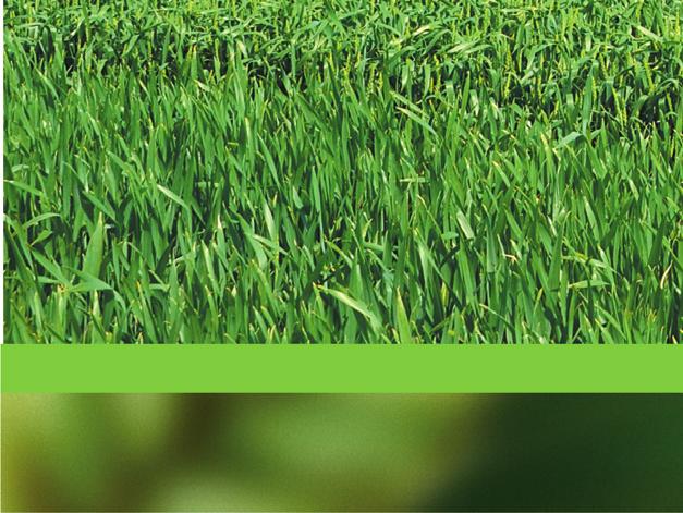 FARMING TRIALS. (Farmářské pokusy). Regionální zástupci SAATEN-UNION zvolili ve svých oblastech jednu až dvě reprezentativní lokality, na kterých byly založeny pokusy s hybridní pšenicí.