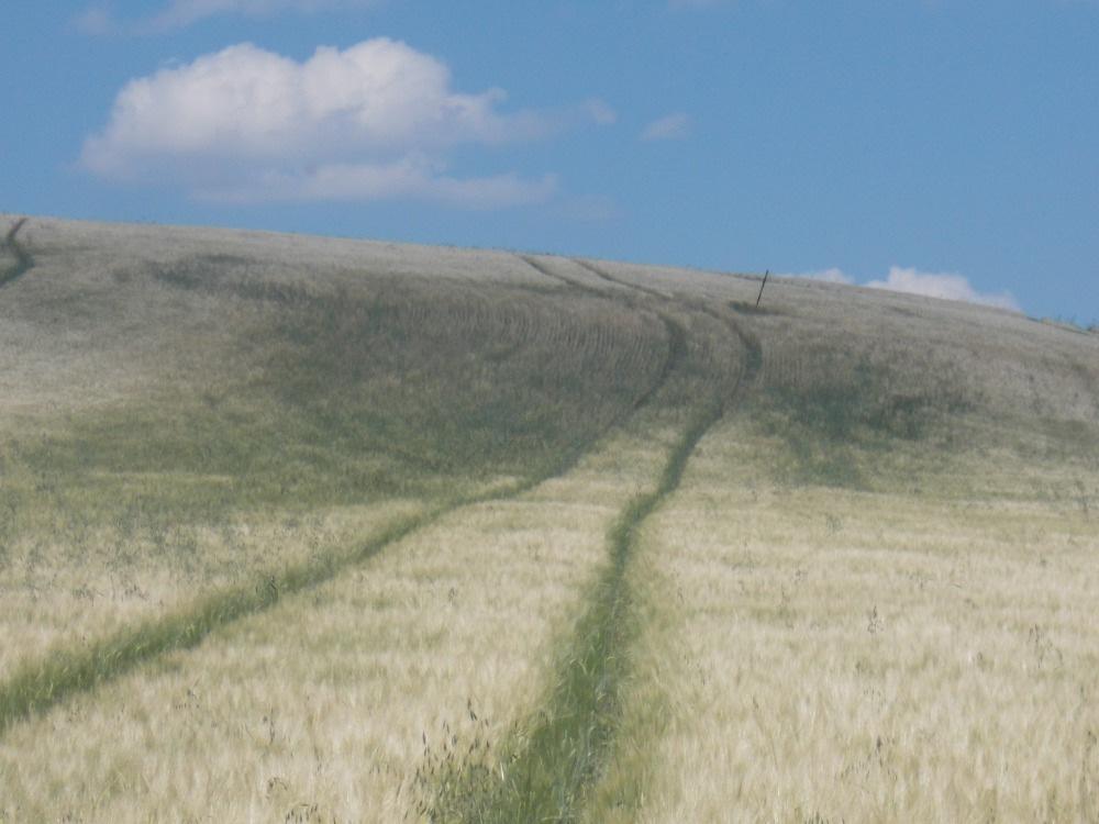 Meteo Ivanovice Srážky pro jařiny měsíce leden až červen Srážky pro jařiny měsíce