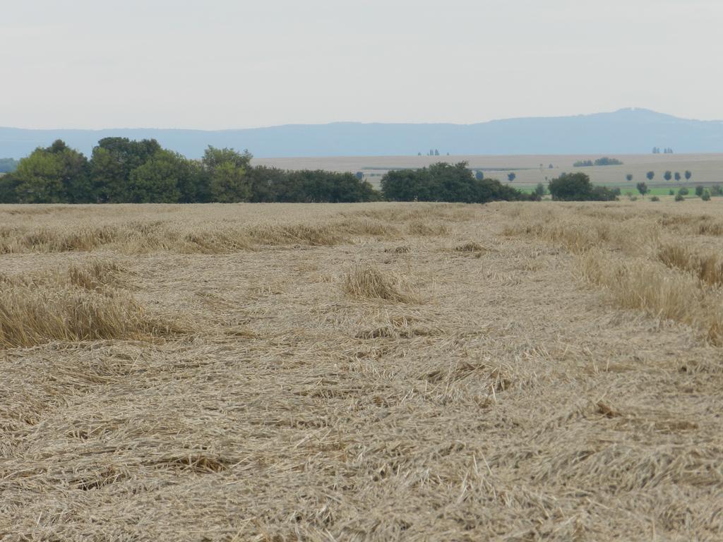 Výkonnost odrůd souvisí s ochranou proti poléhání výška rostlin exten. výška rostlin inten.