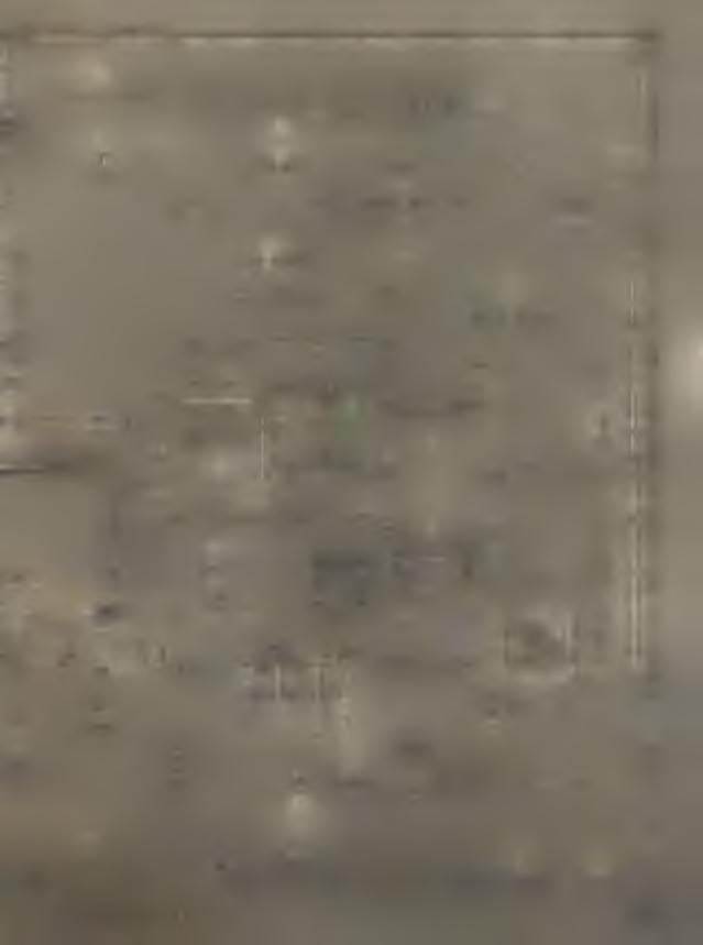3/1 17