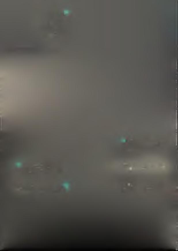 T akto živo bylo na loňském M is tro v s tv í E vropy pro
