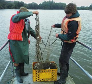 Department of Fish and Zooplankton Ecology Oddělení ekologie ryb a zooplanktonu The research at the Department of Fish and Zooplankton Ecology is focused on the highest trophic levels in freshwater