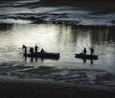 We are developing sampling methods using electrofishing, beach seining, purse seining, trawling, and gillnetting.