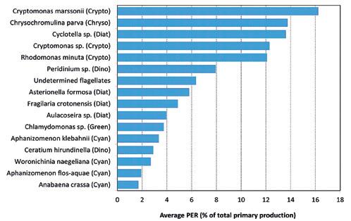 biomass and total primary production showed the expected inverse, but only weak (r2 0.1), relationship to PER fitted with a linear regression.