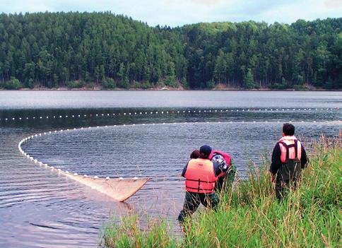 Europe are well aware of the difficulty to define the ecological status of natural waters, such as lakes and streams, whose near-pristine "reference states" are known.