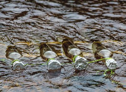 / Pohořský potok. Foto P. Porcal. V oddělení hydrochemie a ekosystémového modelování zkoumáme biogeochemické koloběhy živin a procesy, které ovlivňují chemické složení a kvalitu povrchových vod.