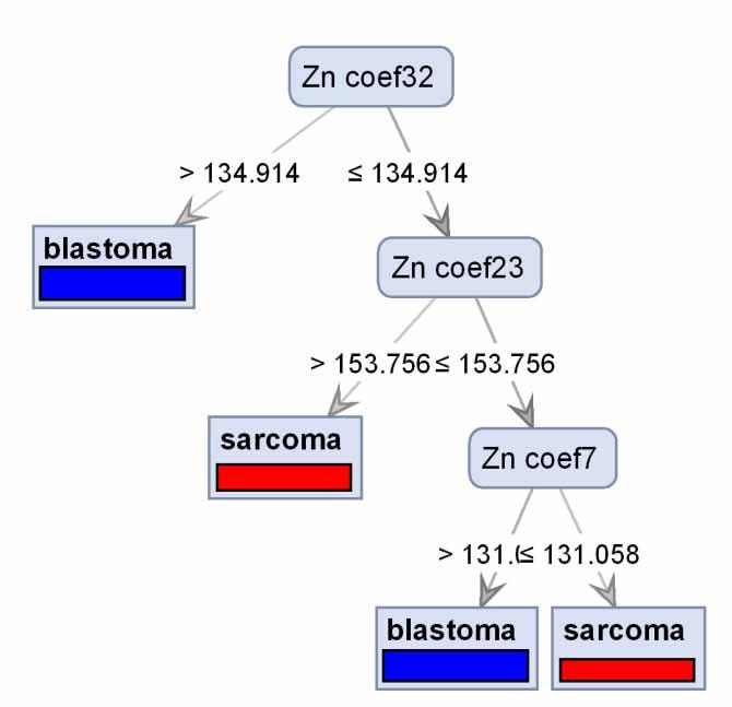 Anti MT Anti Zn b) Krizkova S., et al.