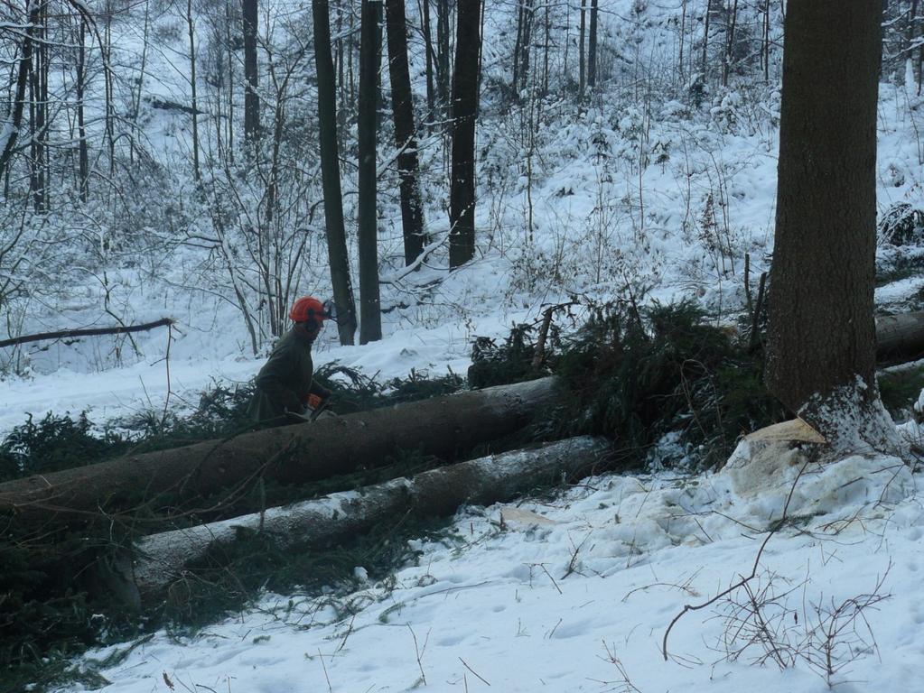 Na obrázku 5.7 je vidět pracující osoba v ohroženém prostoru navíc pod stromem, který leží ve svahu překřížený přes další strom, tím pádem hrozí sesuv stromu ze svahu.