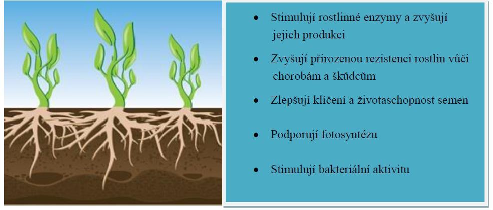 Zlepšují a optimalizují příjem živin a vody rostlinami, obsahují látky potřebné pro růst rostlin, vyznačují se vysokou kationtovo výměnnou kapacitou, uvolňují CO 2 z půdního CaCO 3 a umožňují mu