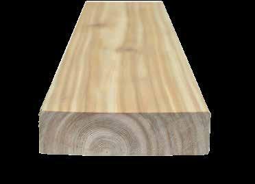 Hustota suchého dřeva se pohybuje podle jemnosti let/šířky letokruhů mezi 340 460 kg/m 3.