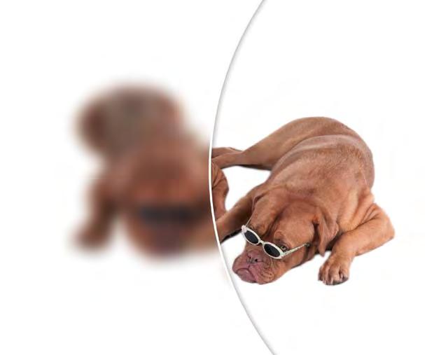 NEJNOVĚJŠÍ WELLNESS V KrUŠNÝCH HOrÁCH 2 NOCI ZA CENU 1! Využijte jarní akce na víkendové pobyty a zaplaťte pouze polovinu. Podrobnosti na: www.apartmanyengadin.