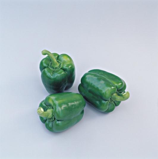 Capsicum Pronto zelená paprika malé