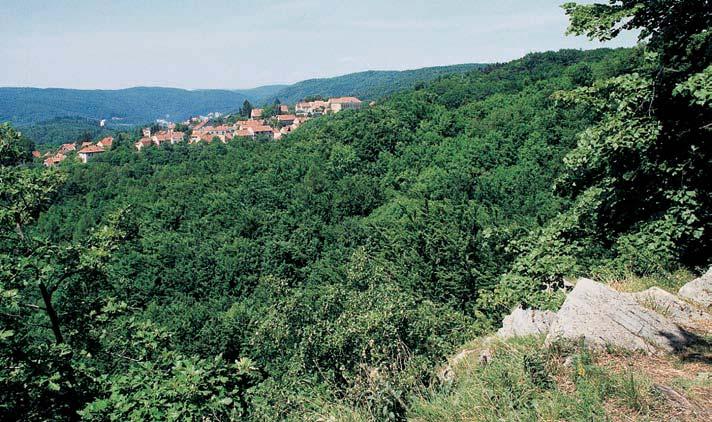 686-74_MK_uzemi.4.008 8:3 Stránka 694 GEOLOGIE Skalní podloïí pfieváïné ãásti rezervace je tvofieno devonsk mi vápenci.