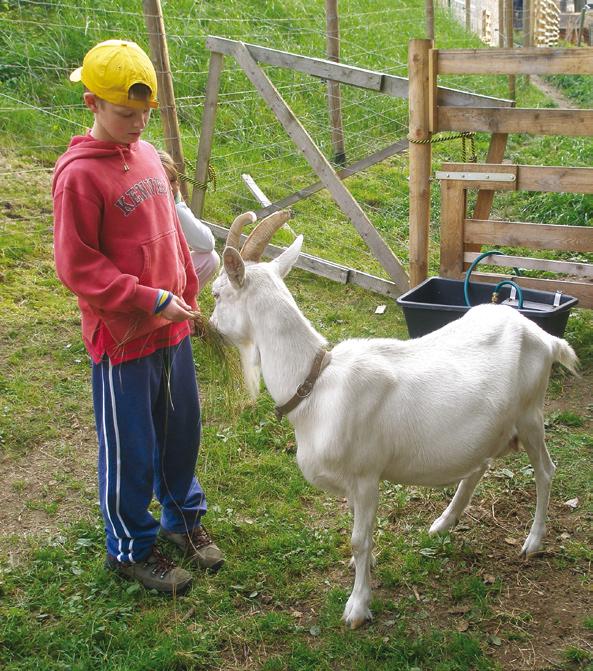 VÝUKOVÁ FARMA ZVÍŘAT Součástí areálu ekocentra je výuková farma s původními plemeny hospodářských zvířat tradičně chovanými na území České republiky.